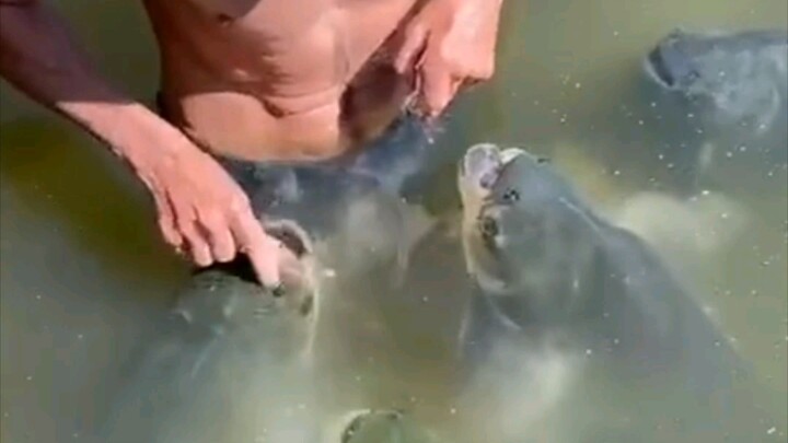 لعبة واقعية لتجهيز موقع الصيد: غضب صياد السمك!