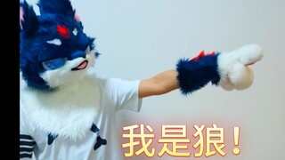 I'm a wolf, not a big puppy—watch out or I'll bite you!