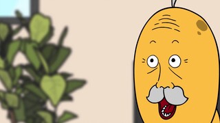 [Beast friends] Quality Laman Parrot vs Beast Friends