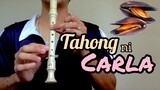 TAHONG NI CARLA | Recorder Flute Easy Letter Notes / Flute Chords