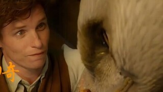 [Hufflepuff | Học sinh cuối cấp Newt] "Chúng ta có thể làm nhiều hơn là chỉ ăn."