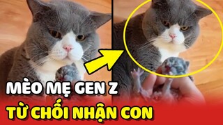Khi mèo mẹ BỈM SỮA lần đầu LÀM MẸ nhưng nhất quyết KHÔNG NHẬN CON 😂 | Yêu Lu