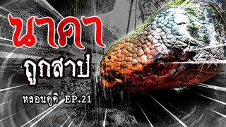 ถ้ำนาคา ตำนาน ( นาคาต้องคำสาป ) | หลอนดูดิ EP.21