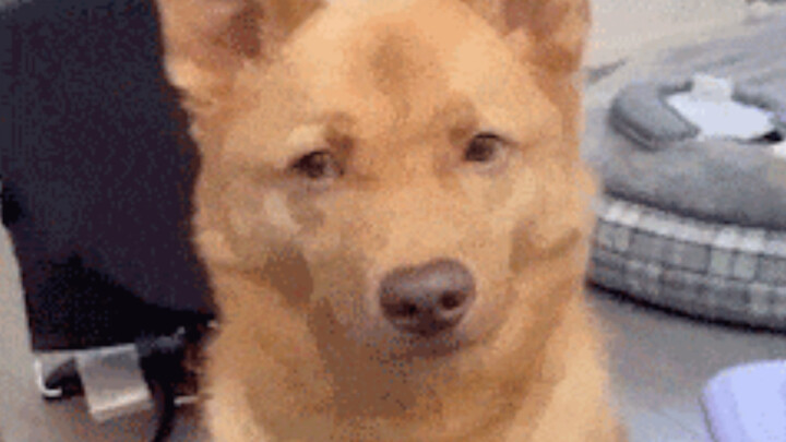 Dr. Wang’s inner monologue: “You think I don’t know your little secrets?🤣 #Proctology #Gossip #Explo