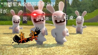 疯狂的兔子-(真实)*当班里所有人都写完作业时