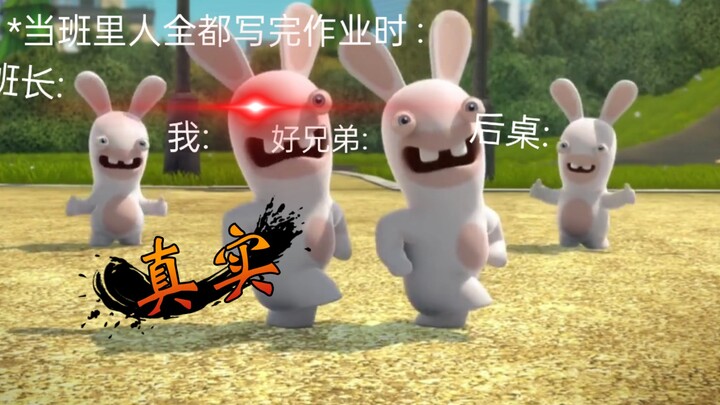 Crazy Rabbit-(Real)*When everyone in the class has finished their homework