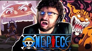 LUFFY HUMBLES LUCCI | One Piece Episode 1101 REACTION