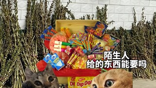 "Ketika lewat bayi kecil, hal pertama yang dilakukan adalah memberi makan" #CapCut#Mahasiswa Memberi