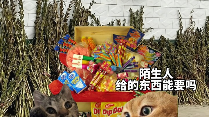 "Ketika lewat bayi kecil, hal pertama yang dilakukan adalah memberi makan" #CapCut#Mahasiswa Memberi