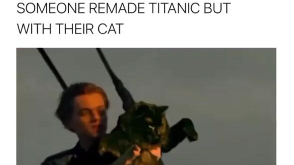 The Titanic with your pet cat