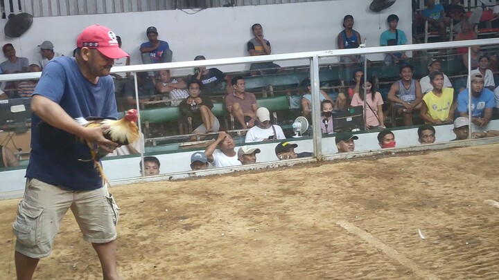 super upahan (BUNUTAN)sa pila coliseum 4th fight LOSS grabe syang nabayag manok namin 😅🤦