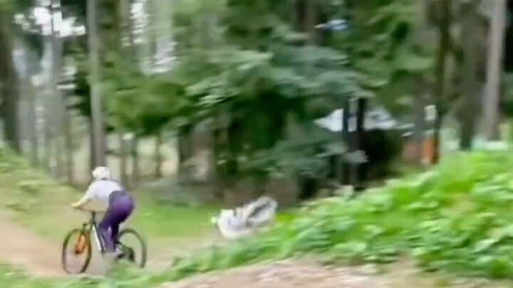 In case you’ve never seen a flying dog
