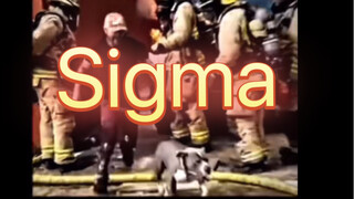 西格玛男人-艺术已成