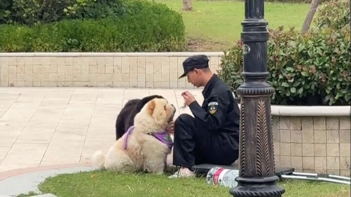 这简直是养宠人士的理想家园