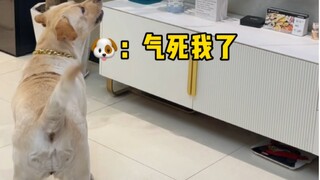 This bitch keeps cursing while watching TV