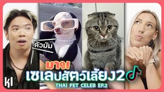 Reaction ฝรั่งกับเซเลปสัตว์เลี้ยงไทย EP2 (เจ๋งเตี๋ยว,คิ้วคือมงกุฎของแค,ฯลฯ) | MaDooKi รีแอคชั่น