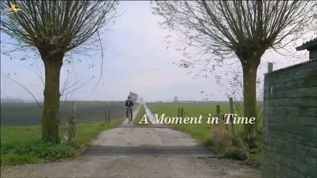 A moment of time love full move