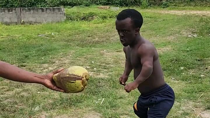 african comedy : The coco