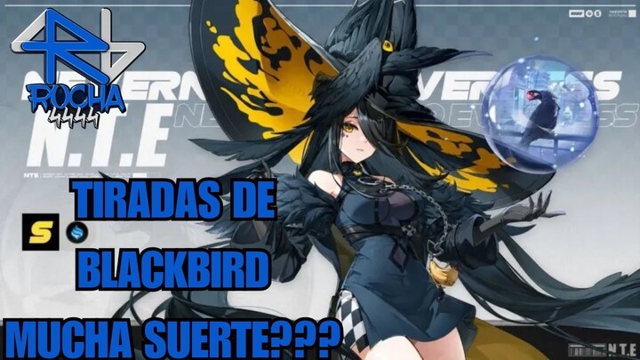 ✨NTE TIRADAS DE BLACKBIRD✨volvio mi SUERTE?