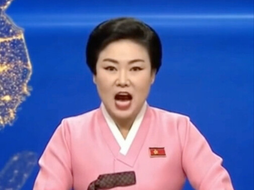 sora2生成的哈基米南北恩情