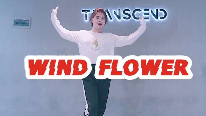 【全盛舞蹈工作室】MAMAMOO《WIND FLOWER》爵士基本功编舞练习室