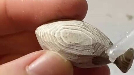 Membuat ikan kecil dari kertas