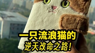 I customized a planner for the kitten I adopted—NetEase Goose's 3rd-anniversary limited edition is h