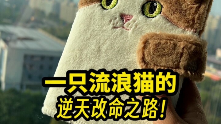 صممت دفتر يوميات مخصصًا للقطة الصغيرة التي تبنتها ~ الإصدار المحدود الثالث بمناسبة الذكرى الثالثة لـ