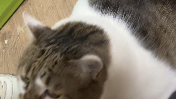 Ngay khi bạn đặt nó vào cái túi đó, tôi đã biết ngay là bạn lén lút có vấn đề.