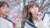 [Sandy] Blooming in love❀ hadir dengan efek khusus bunga sakura
