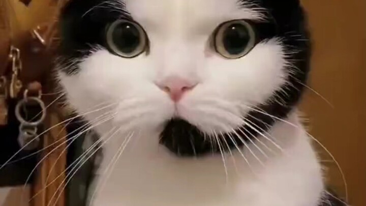 خدمة العملاء، اهتم جيدًا يا عزيزي وابق معي!