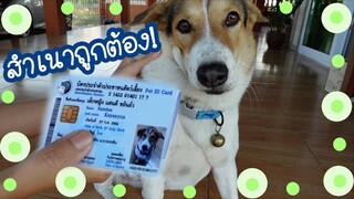โลกของแสนดี ตอน หนูมีบัตรประชาชนไม่ใช่หมาต่างด้าว