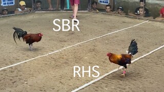 Our Super Brown Red 1xwin