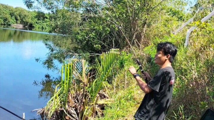 mancing mania