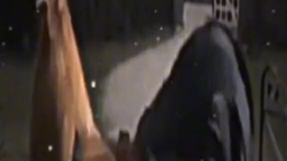 mga kapitbahay nyung chismosa