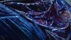 Divine Manifestation episode 9 sub indo