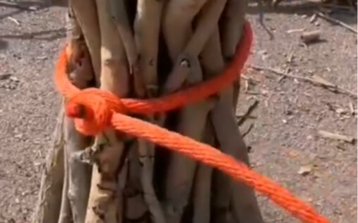 ملك العُقد الرباطية