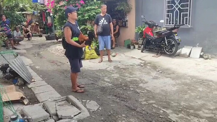 panalo tupada lang