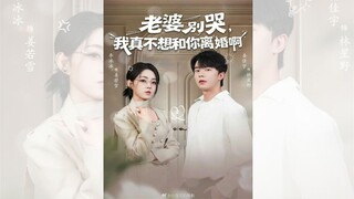 VỢ ƠI ĐỪNG KHÓC, ANH THẬT SỰ KHÔNG MUỐN LY HÔN VỚI EM