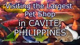 VISITING the Biggest pet shop in Cavite, Philippines | JOYJOY Pet shop