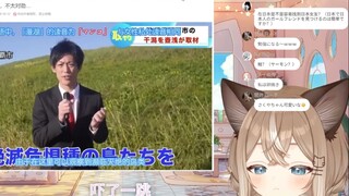 日本猫猫看放松事故这湖名字不对劲