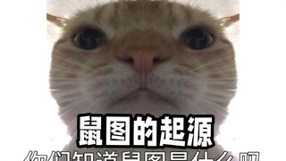 أصل صورة الفأر... لماذا تُسمى ميمات القط الصغير بصور الفئران؟