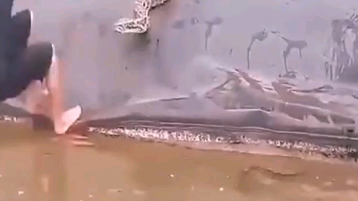 This one allows us to skip the follow-up.