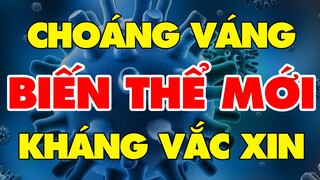 🔥 Tin Cực Nóng Covid-19 Tối 25/9 | Thông tin khẩn từ Bộ Y tế | Tin Tức 247