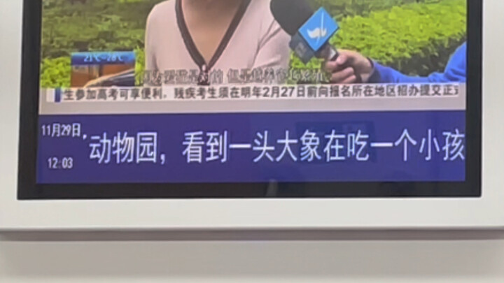 Xiamen Metro Tree Hole 20221129 – I nearly jumped out of my skin; I thought an elephant was eating a