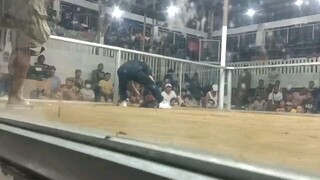 manok ni boss mark win