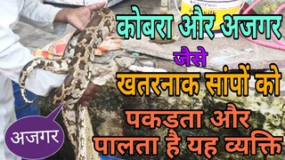 कोबरा और अजगर लाइव || खतरनाक सांपों को पालते और पकड़ते हैं, सुनें इनकी मुंह जवानी