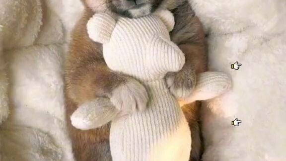 น่ารักน่าเอ็นดู