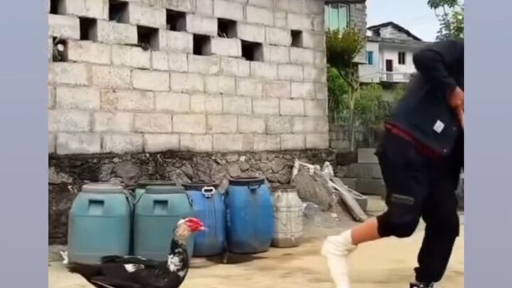 ขำจริงๆเลยฮ่าๆๆดูกันนะทุกคน555