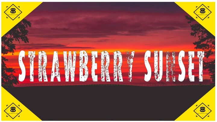 Strawberry Sunset｜Morgan Wallen Type Beat｜乡村伴奏｜BachBeats
